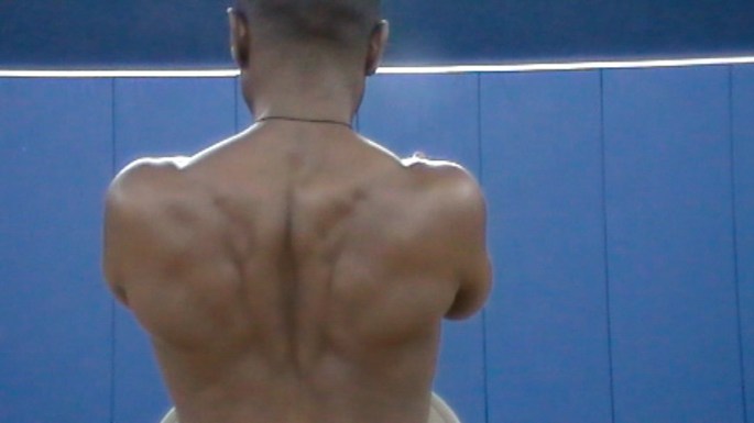 A picture of the scapulae when pulling something back toward yourself.