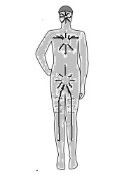 These are the directions that the breath can actually extend to throughout the body.