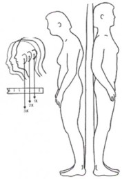 Good posture/Bad posture